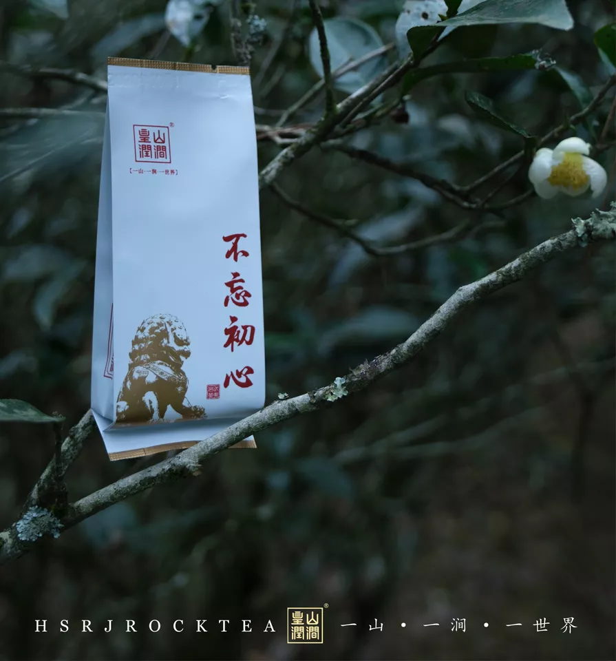 皇山润涧不忘初心武夷岩茶正宗茶叶兰香持久散泡体验装送礼礼盒装