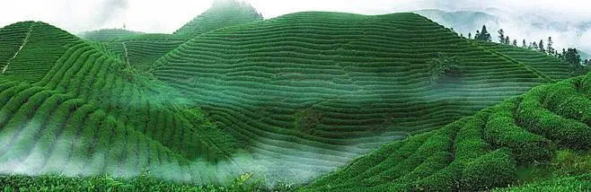 2_看图王.web.jpg
